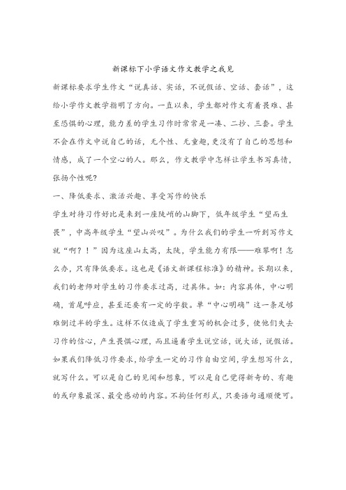新课标下小学语文作文教学之我见