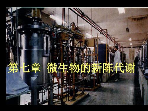 微生物的新陈代谢