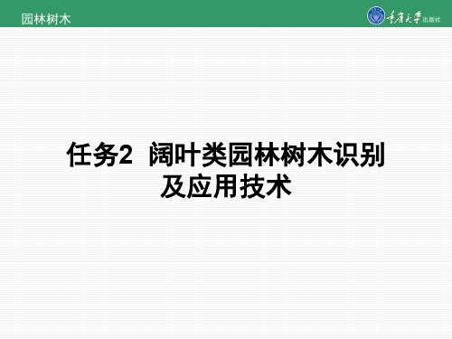 项目5任务2 阔叶类园林树木识别及应用技术 1