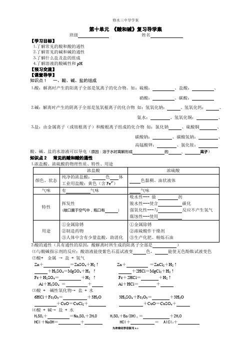 新人教版九年级化学第一轮复习第十单元导学案