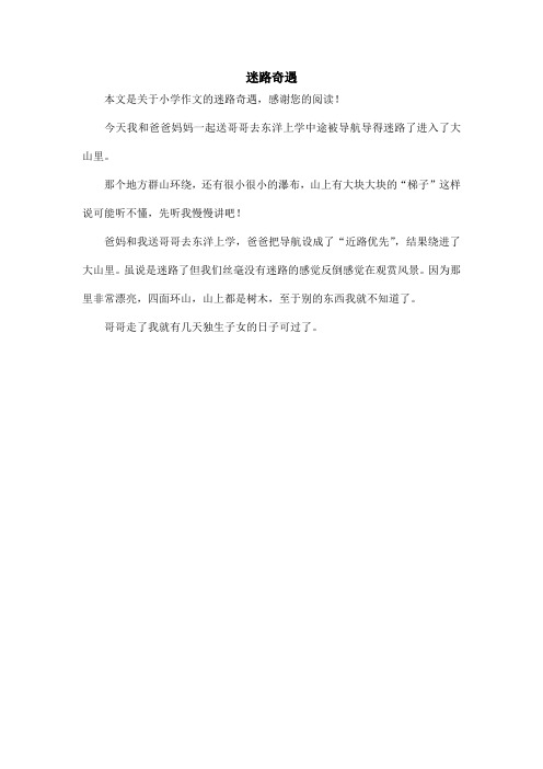 迷路奇遇_小学作文