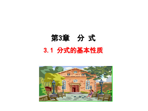 分式的基本性质课件17 青岛版