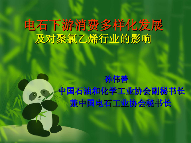 氯碱论坛资料4