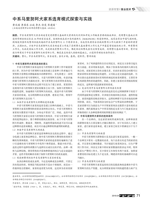 中系马里努阿犬家系选育模式探索与实践