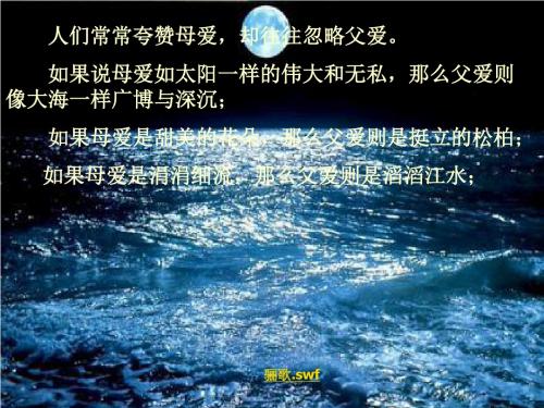 爸爸的花儿