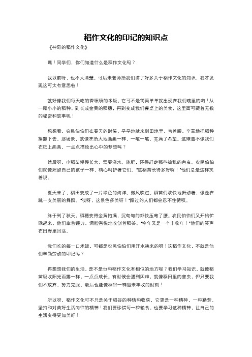 稻作文化的印记的知识点