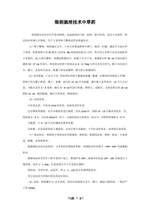 柴胡栽培技术中草药