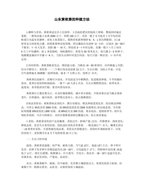 山东黄秋葵的种植方法