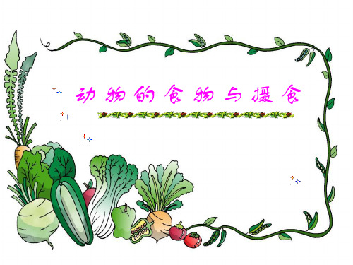 《动物的食物和摄食》PPT课件