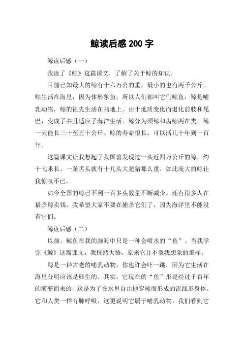 鲸读后感200字