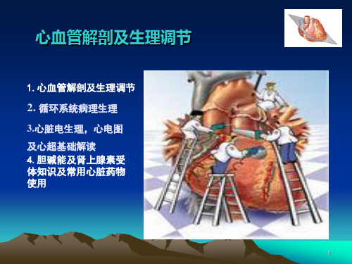 NICU神经外科重症血液循环
