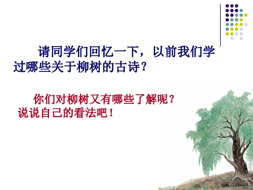 《青海高原一株柳》课件