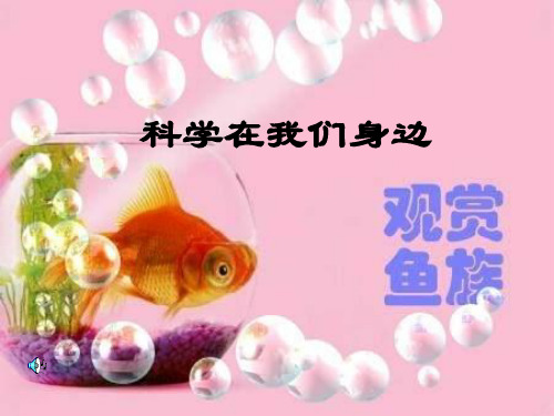 小学三年级上册-科学在我们身边青岛版