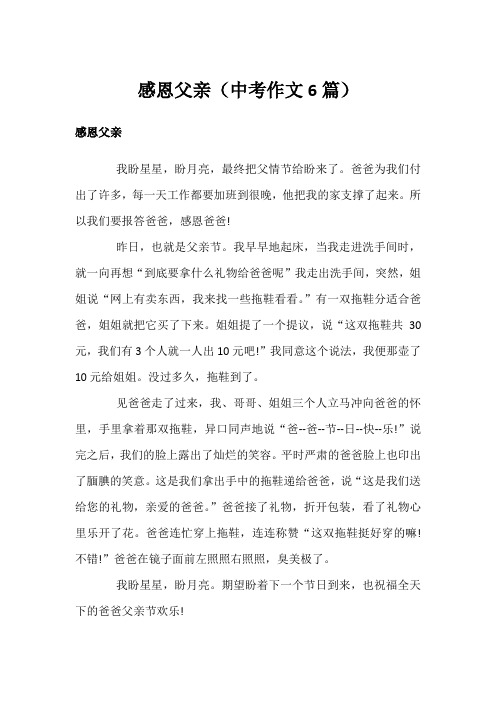 感恩父亲(中考作文6篇)