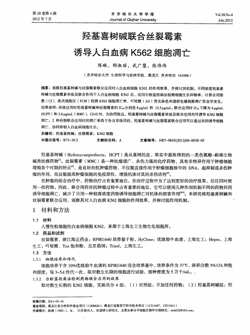 羟基喜树碱联合丝裂霉素诱导人白血病K562细胞凋亡