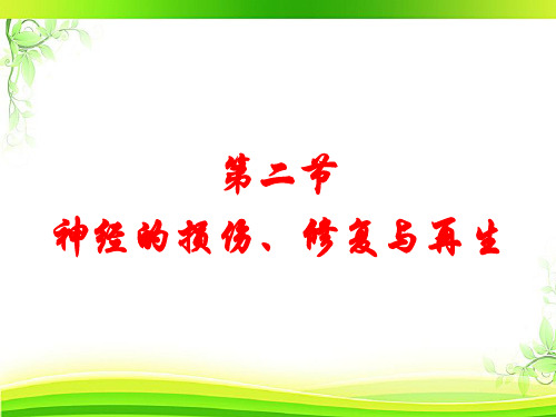 神经损伤和神经营养物质  ppt课件