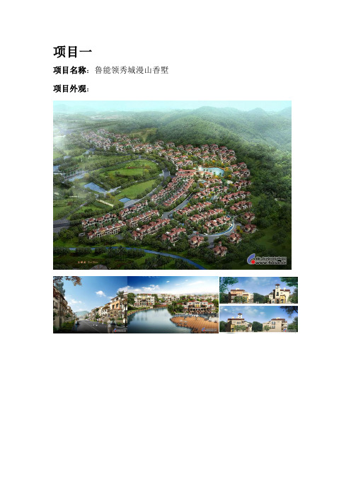 别墅项目调研
