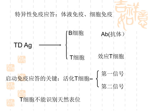 医学免疫学：抗原递呈细胞