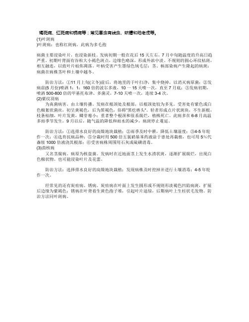 牡丹常见病害