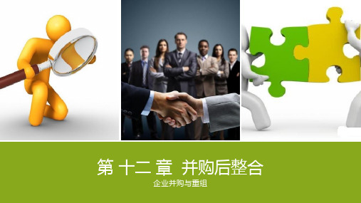 企业并购与重组课件第12章