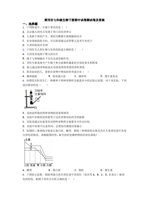 黄冈市七年级生物下册期中试卷测试卷及答案