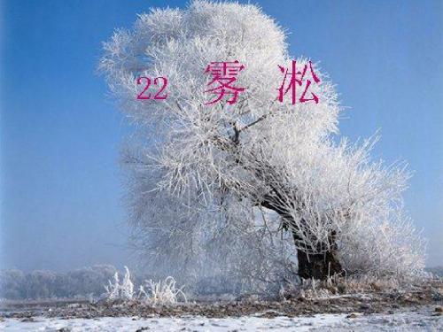 苏教版四上《雾凇》ppt课件