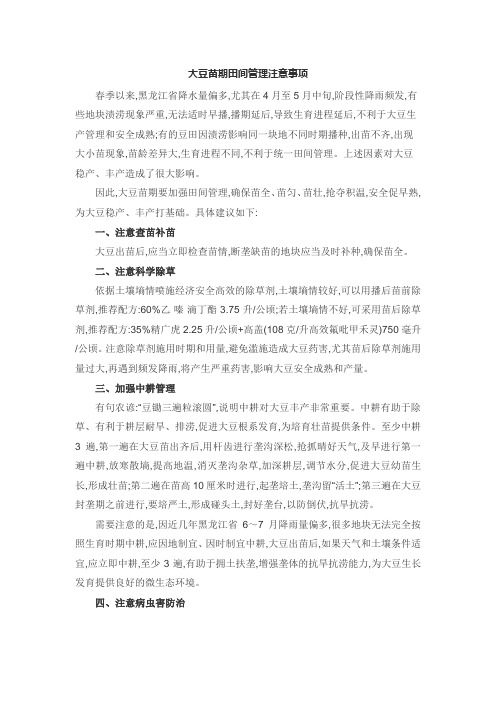 黑龙江省大豆苗期田间管理注意事项