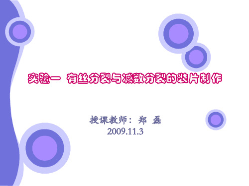 实验一 有丝分裂与减数分裂的装片制作