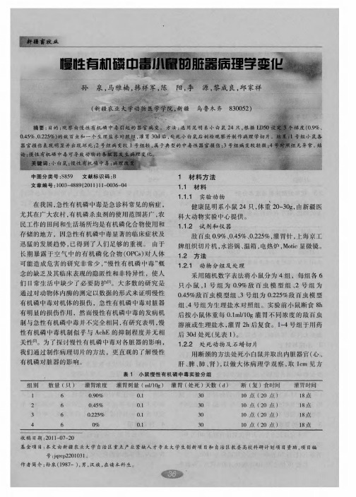 慢性有机磷中毒小鼠的脏器病理学变化