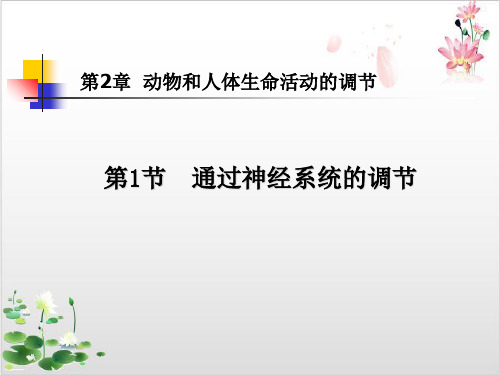 通过神经系统的调节-ppt精品课件[1]