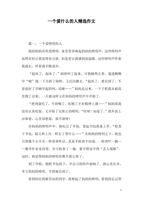 一个爱什么的人精选作文