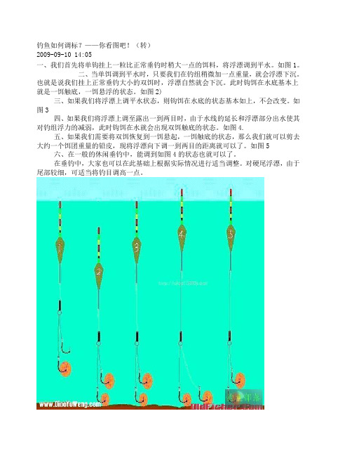 钓鱼如何调标