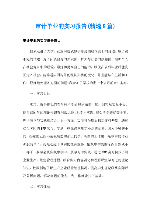 审计毕业的实习报告(精选8篇)