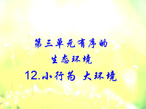 六年级下册科学课件-3.12 小行为 大环境｜冀教版  (共12张PPT)