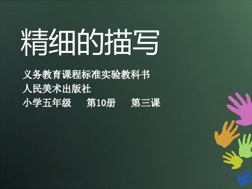 五年级下册美术课件-6 精细的描写｜人美版(2014秋) (共9张PPT)