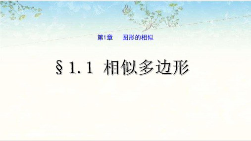 1.1相似多边形-青岛版九年级数学上册课件(共20张PPT)