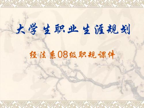 08级faxu 职业生涯规划