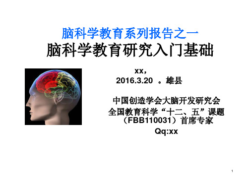 脑科学教育系列报告之一脑科学教育研究入门基础.ppt