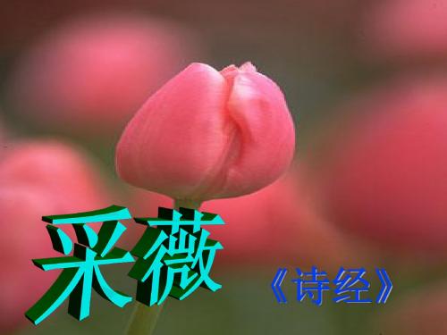 1 《诗经》采薇(很好用)