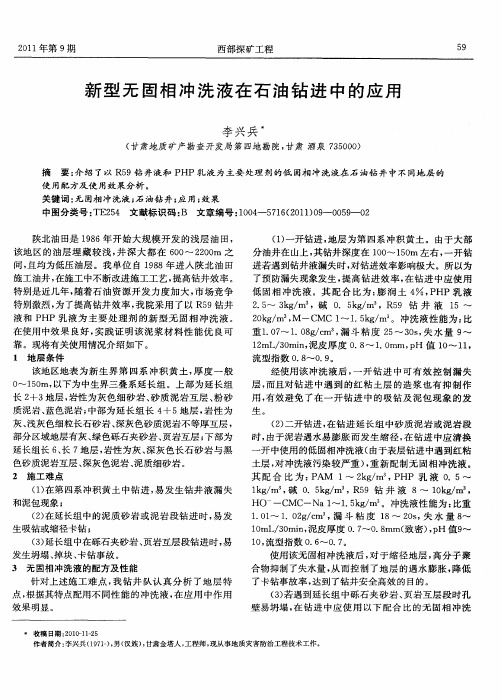 新型无固相冲洗液在石油钻进中的应用