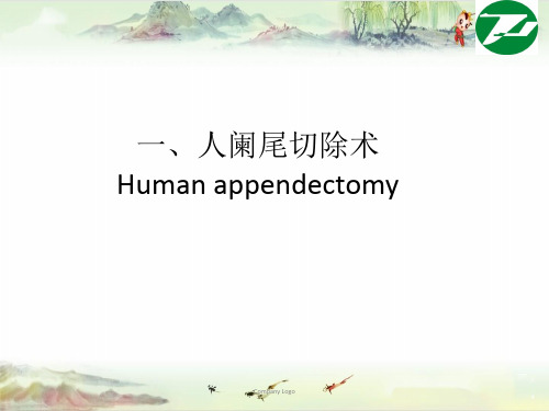 人阑尾(兔蚓突)切除术(中文)——【手术学 精品讲义】