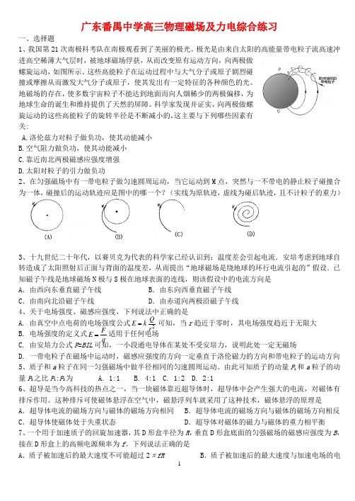 广东番禺中学高三物理磁场及力电综合练习.