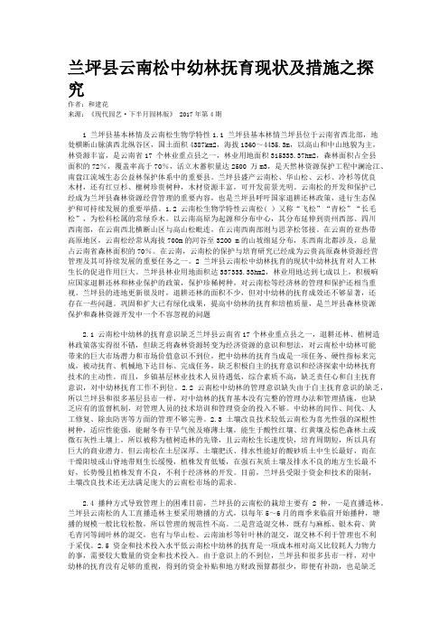 兰坪县云南松中幼林抚育现状及措施之探究