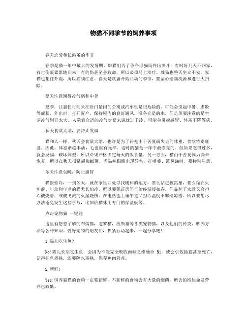 物猫不同季节的饲养事项