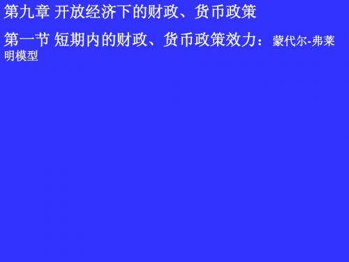 2010国金9开放经济下的财政货币政策