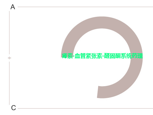 肾素-血管紧张素-醛固酮系统药理