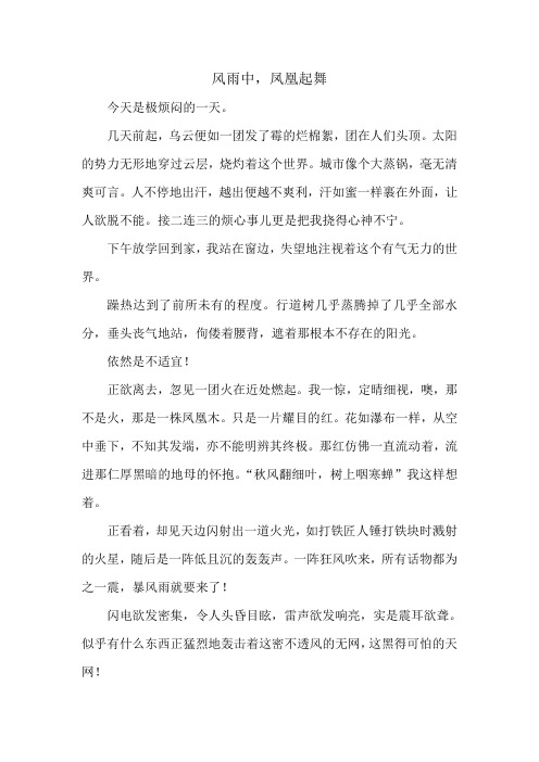 风雨中,凤凰起舞(高中作文)