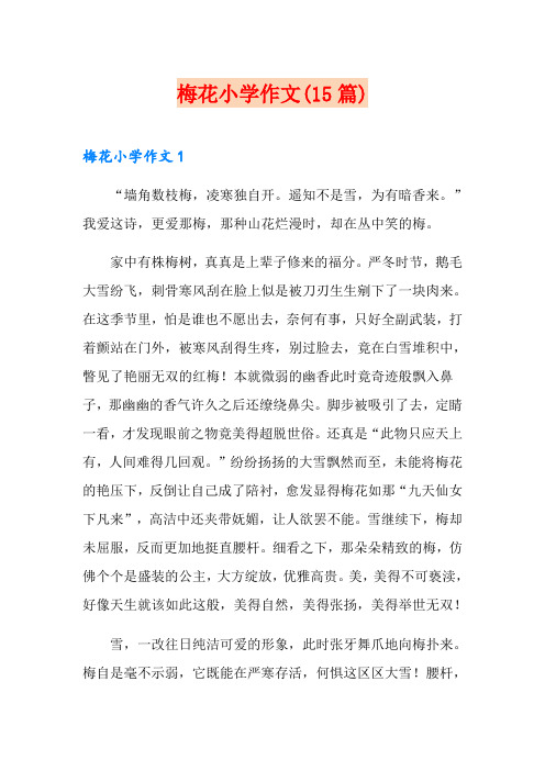 梅花小学作文(15篇)