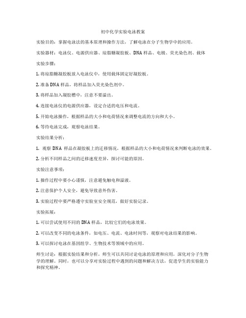 初中化学实验电泳教案