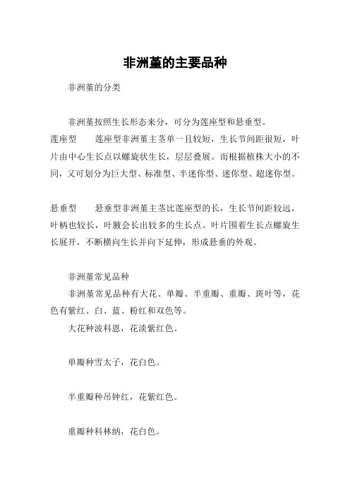 非洲堇的主要品种